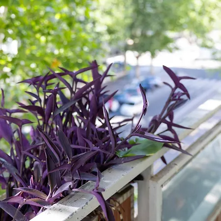 Apartamento Beethoven Luxury